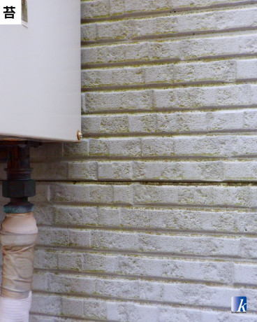 神奈川県横須賀市O様邸【金子塗装】外壁の現地調査:苔の付着 神奈川県横須賀市O様邸【金子塗装】外壁の現地調査:苔の付着